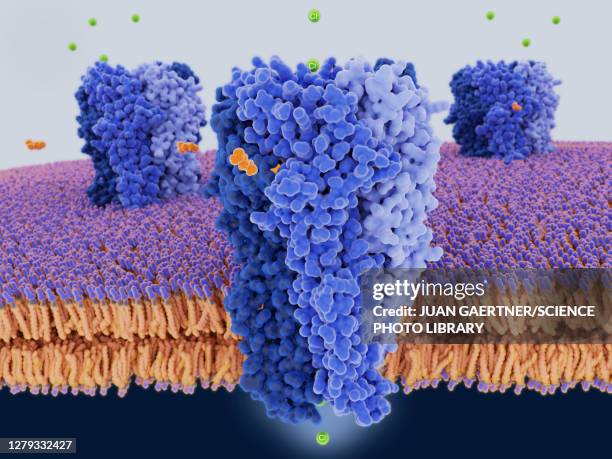 gaba receptors, illustration - membrane stock-grafiken, -clipart, -cartoons und -symbole