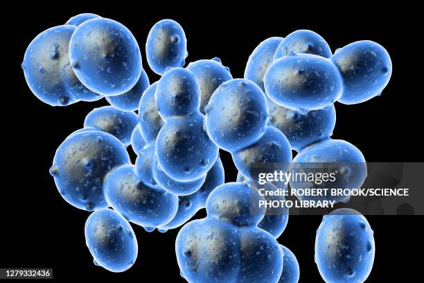 staphylococcus aureus (mrsa) bacteria, illustration - scarlet fever stock illustrations