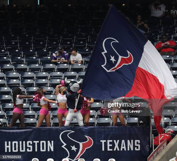 Texans Robe Texans Mascot Photos and Premium High Res Pictures - Getty Images