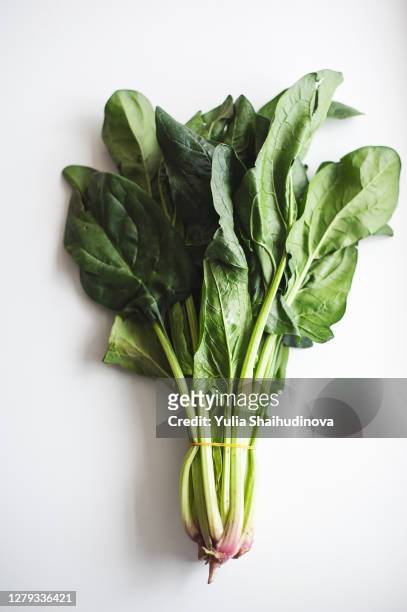 spinach bunch isolated - spinazie stockfoto's en -beelden