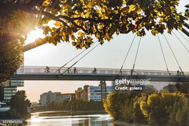 silhouetten auf rheinbrücke in düsseldorf im frühherbst - fahrrad natur stock-fotos und bilder