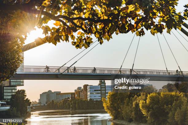 silhouetten auf rheinbrücke in düsseldorf im frühherbst - düsseldorf stock-fotos und bilder