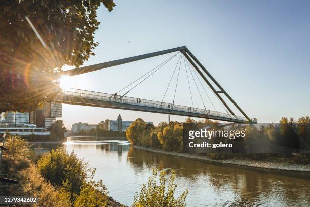 silhouetten auf rheinbrücke in düsseldorf im frühherbst - düsseldorf stock-fotos und bilder