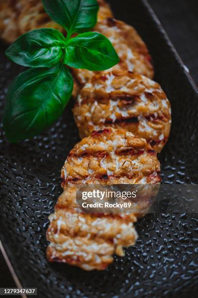 roasted and grilled tempeh slices with grill marks - tempe stock pictures, royalty-free photos & images