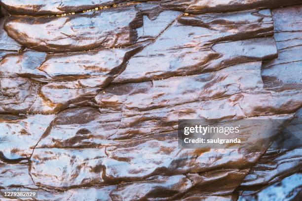 Damp Rocks Damp Rock Photos and Premium High Res Pictures - Getty Images
