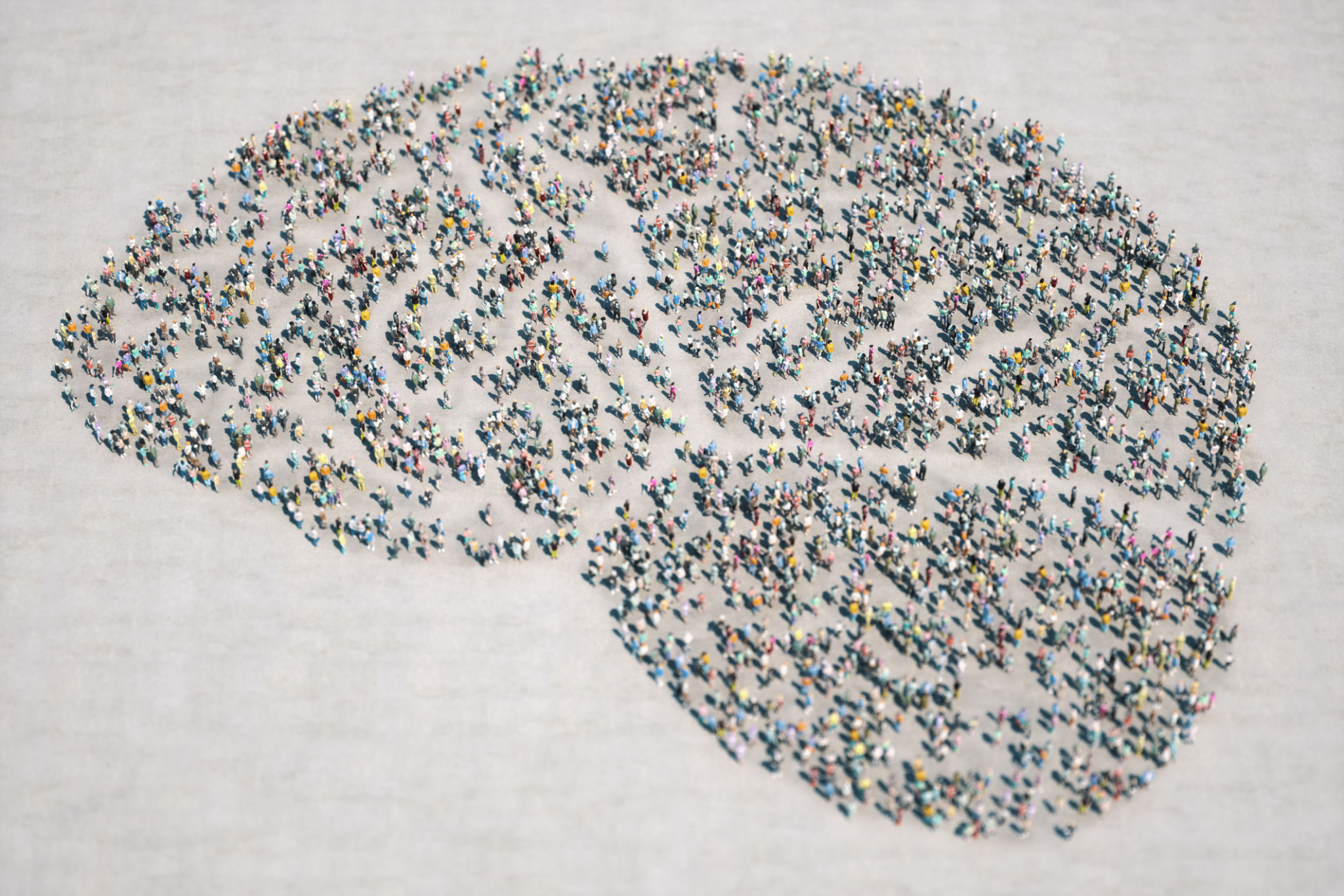 brain diversity