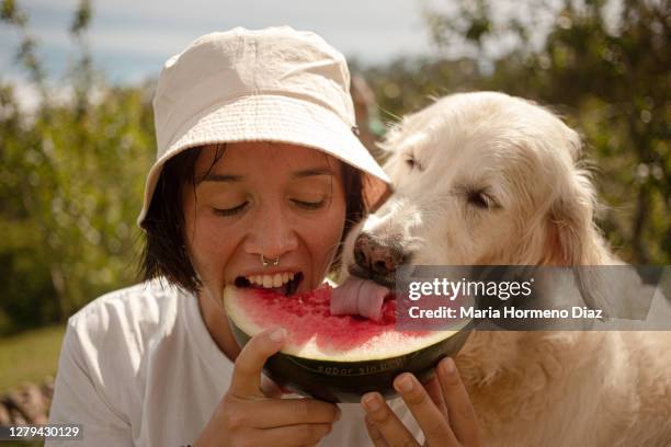 girl eating watermelon with her dog - summer of love stock-fotos und bilder