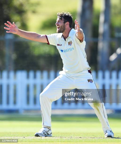Michael Neser of the Queensland Bulls for lbw against Peter Siddle of the Tasmanian Tigers during day one of the Sheffield Shield match between...