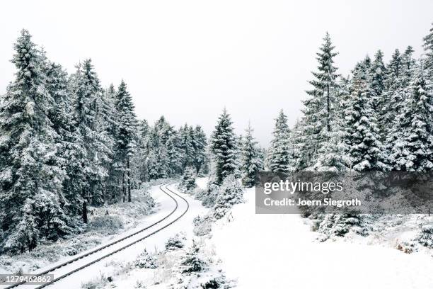 schneelandschaft im wald - weitwinkelaufnahme stockfoto's en -beelden