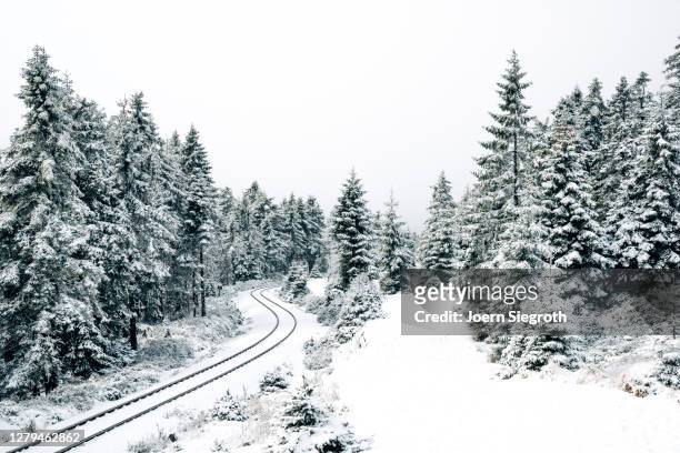 schneelandschaft im wald - in bodenhöhe stock pictures, royalty-free photos & images