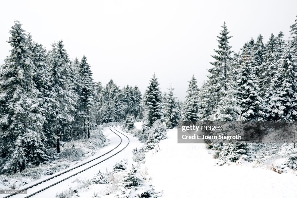 Schneelandschaft im Wald