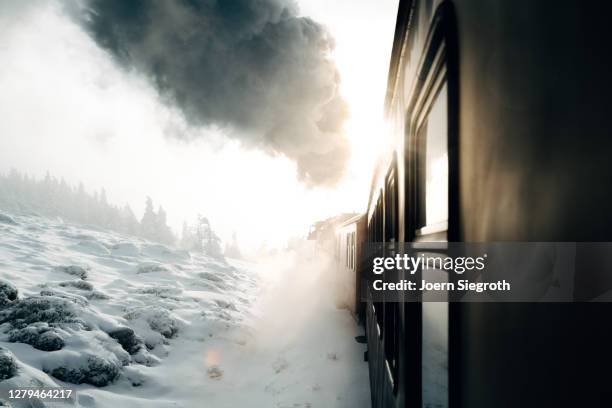 schneelandschaft im wald - weitwinkelaufnahme stockfoto's en -beelden