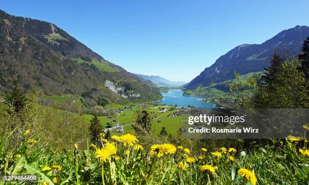 swiss mountain lake panorama view - lungern switzerland stock-fotos und bilder