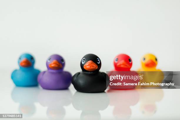 high angle view of rubber duckies on whit background - rubber ducks in a row stock pictures, royalty-free photos & images