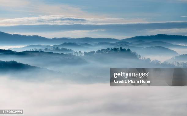 foggy day in dasar - dalat stock pictures, royalty-free photos & images