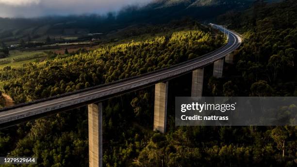 aerial view of a bridge over the valley - green bridge over trees stock pictures, royalty-free photos & images