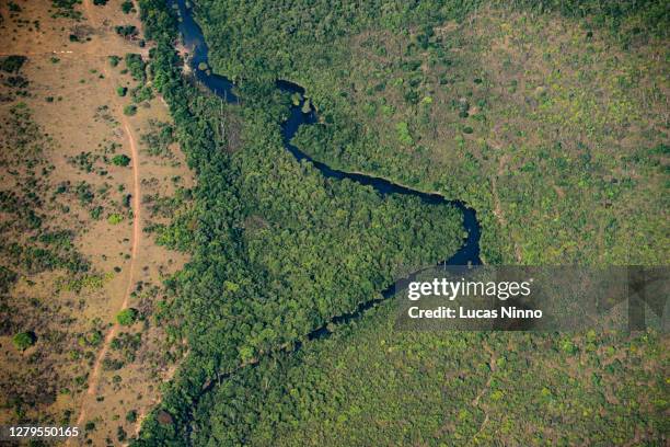 deforestation in the amazon - amazon aerial ストックフォトと画像