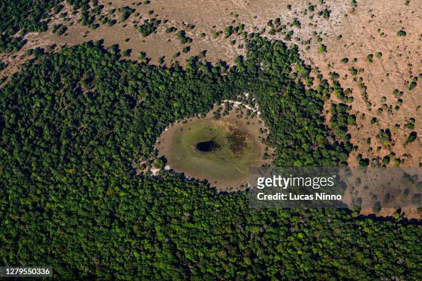 deforestation in the amazon - foret amazonienne photos et images de collection