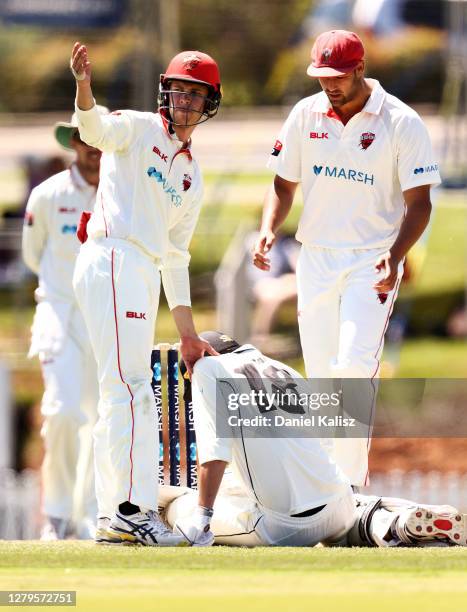 Ashton Agar of the Warriors is helped by Henry Hunt of the Redbacks and Wes Agar of the Redbacks after being struck on the head by a delivery during...
