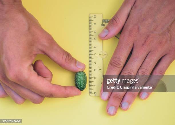 cucamelon - longitud fotografías e imágenes de stock