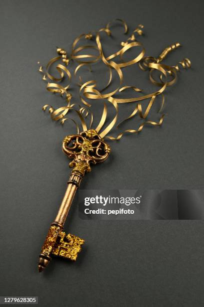 52,539 Key Party Stock Photos, High-Res Pictures, and Images