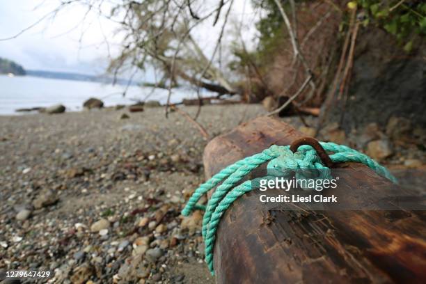 plastic marine rope washed ashore on bainbridge island, wa - bainbridge island wa stock pictures, royalty-free photos & images