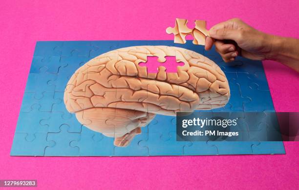 adding last piece of human brain puzzle - genio concetto foto e immagini stock