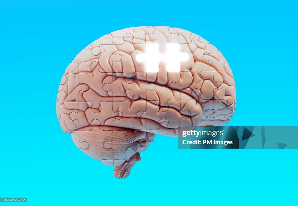 Brain puzzle missing a piece