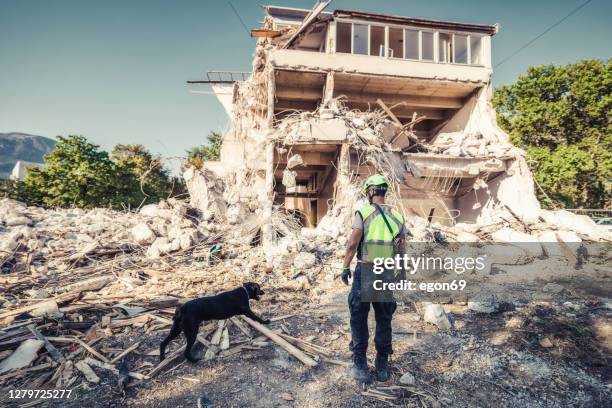 rescuer search with help of rescue dog - hurricane recovery stock pictures, royalty-free photos & images