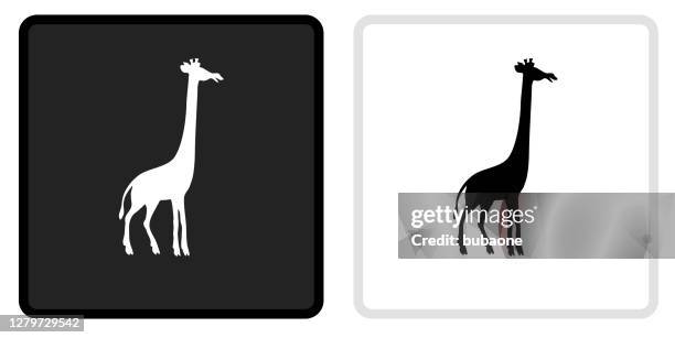 giraffe icon on black button with white rollover - white giraffe stock illustrations