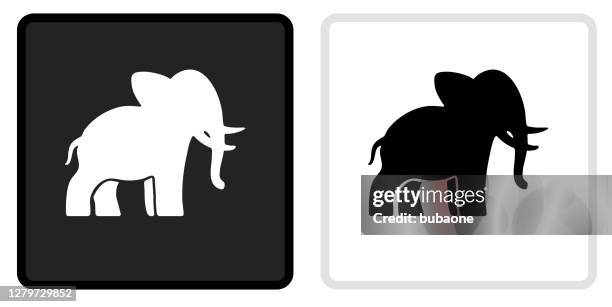 ilustrações, clipart, desenhos animados e ícones de ícone elefante no botão preto com capotamento branco - white elephant