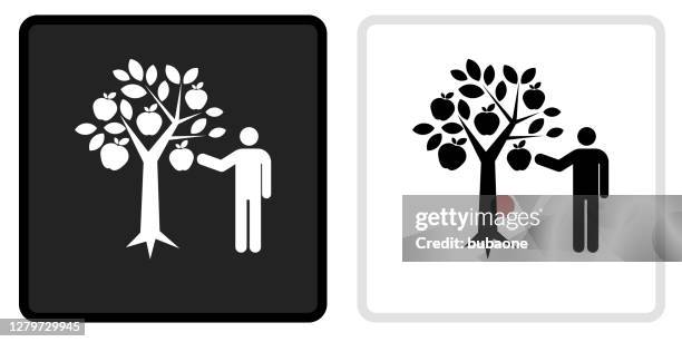 apple picking icon on black button with white rollover - apple picking stock illustrations