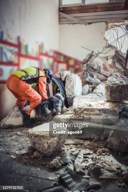 rescuer search with help of rescue dog - emergency first response stock pictures, royalty-free photos & images