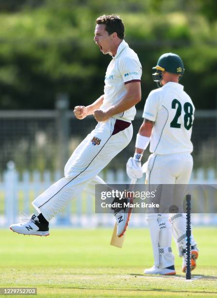 Jack Wildermuth of the Queensland Bulls celebrates the wicket of Ben McDermott of the Tasmanian Tigers during day three of the Sheffield Shield match...