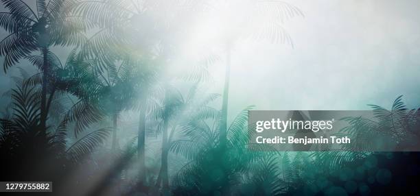 evening in tropical rainforest jungle background - coconuts vector stock illustrations