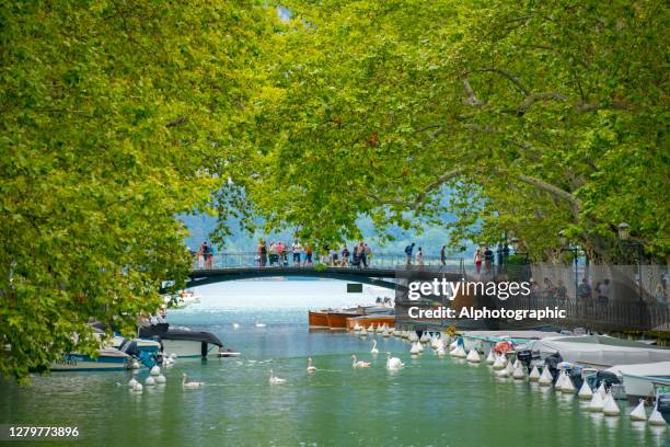 lago di annecy, francia - annecy foto e immagini stock