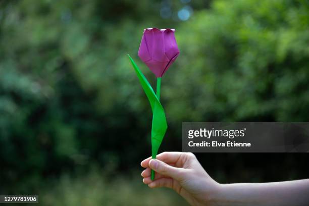 teenager holding a purple origami flower in a garden - white flower paper stock-fotos und bilder