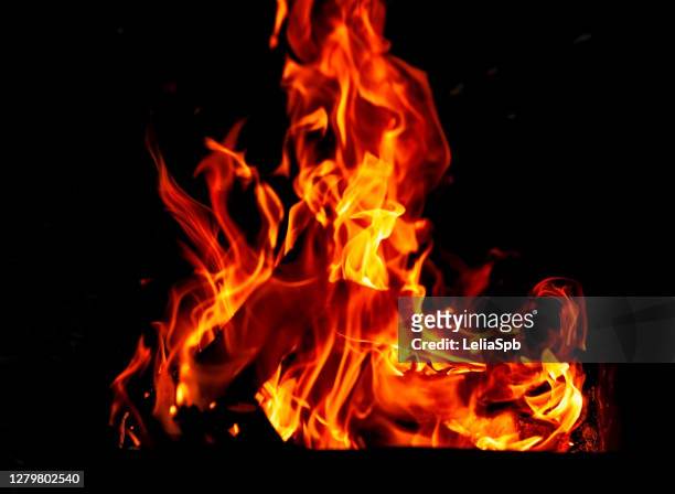 flames on a dark background, a kindled bonfire - haardvuur stockfoto's en -beelden