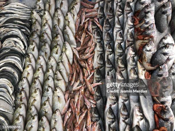 fish sorted and decorated in market - estudio de mercado fotografías e imágenes de stock
