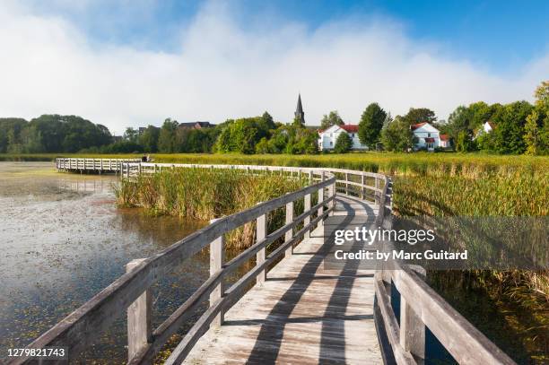 beautiful morning on the boardwalk at the sackville waterfowl park as the morning fog from the bay of fundy begins to clear, sackville, new brunswick, canada - bay of fundy stockfoto's en -beelden