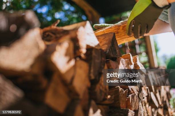 woman stacking fire wood outdoor. - firewood stock pictures, royalty-free photos & images