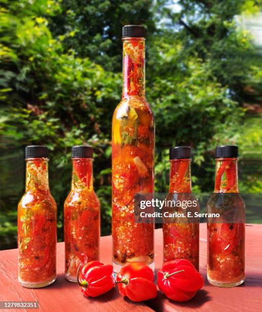 backyard puerto rican pique / hot sauce - scharfe sauce stock-fotos und bilder