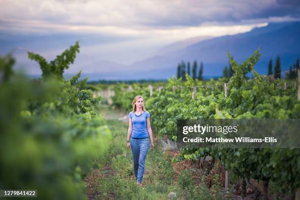 woman in vineyards in andes mountains on wine tasting vacation at a winery in uco valley, valle de uco, a wine region in mendoza province, argentina, south america - mendoza province stock-fotos und bilder