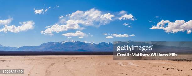 dry river bed during a drought at el barreal blanco de la pampa del leoncito, san juan province, argentina, south america, background with copy space - pampa argentine ストックフォトと画像