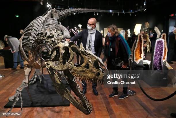 Skeleton of an Allosaurus dinosaur is on display at Drouot auction house on October 12, 2020 in Paris, France. The Allosaurus dinosaur species from...