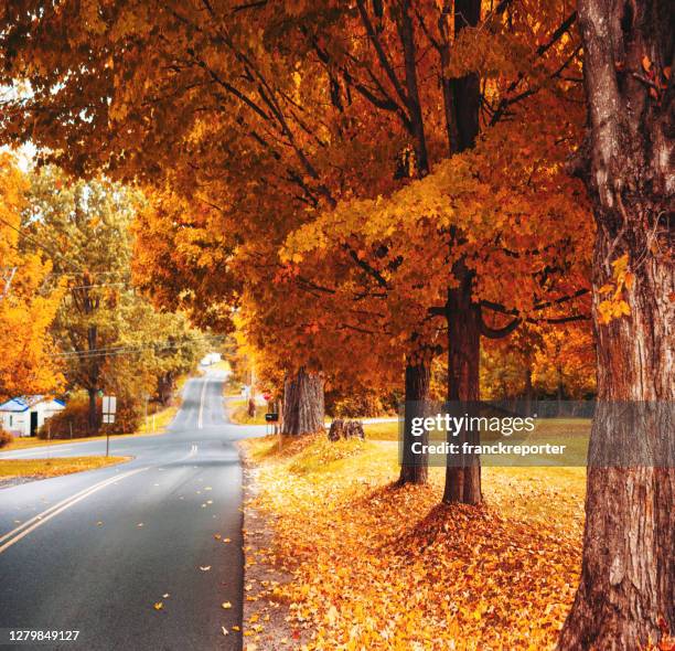 autumnal country road - vermont imagens e fotografias de stock