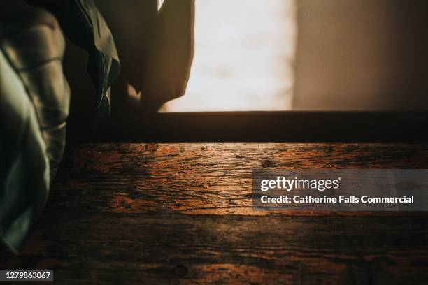 plant on a stylish rustic wooden table creating a shadow around a sunbeam - dappled sunlight stock pictures, royalty-free photos & images