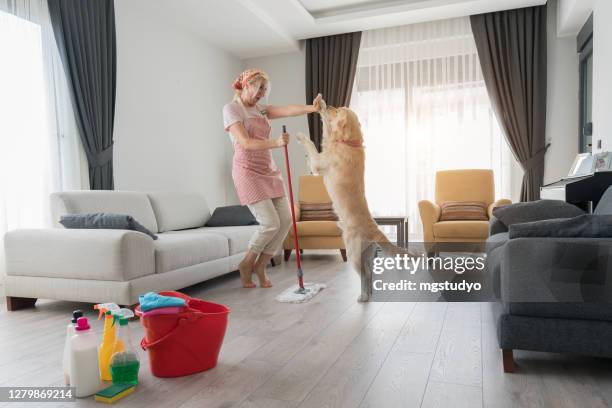 hausfrau und ihr hund wischen auf dem boden eines zimmers während der hausarbeit. - frau putzen stock-fotos und bilder