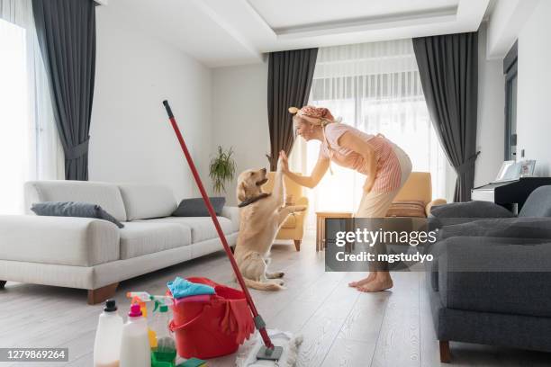 de gelukkige hond speelt met eigenaar die huis schoonmaakt. - messy dog stockfoto's en -beelden