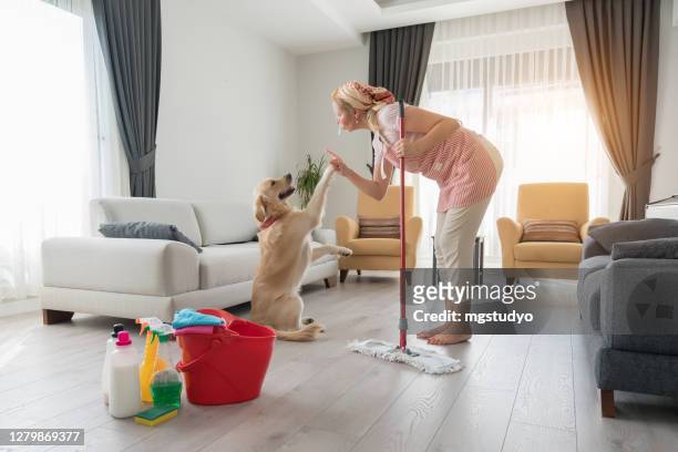 dog making mess of newly mopped floor - messy dog stock pictures, royalty-free photos & images
